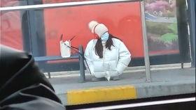 福利写真视频鸡在线观看,揭秘网络诱惑背后的真相